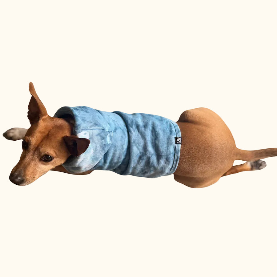 Hand-dyed ice dye dog hoodie with organic, coastal-inspired color pattern