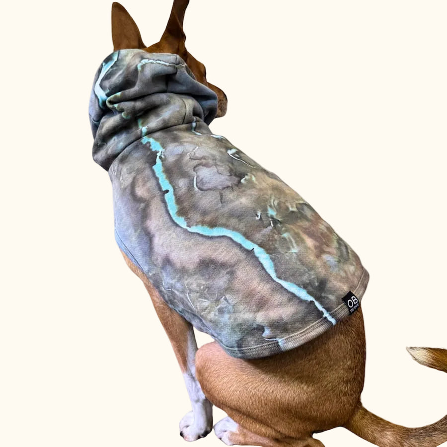 Hand-dyed ice dye dog hoodie with organic, coastal-inspired color pattern