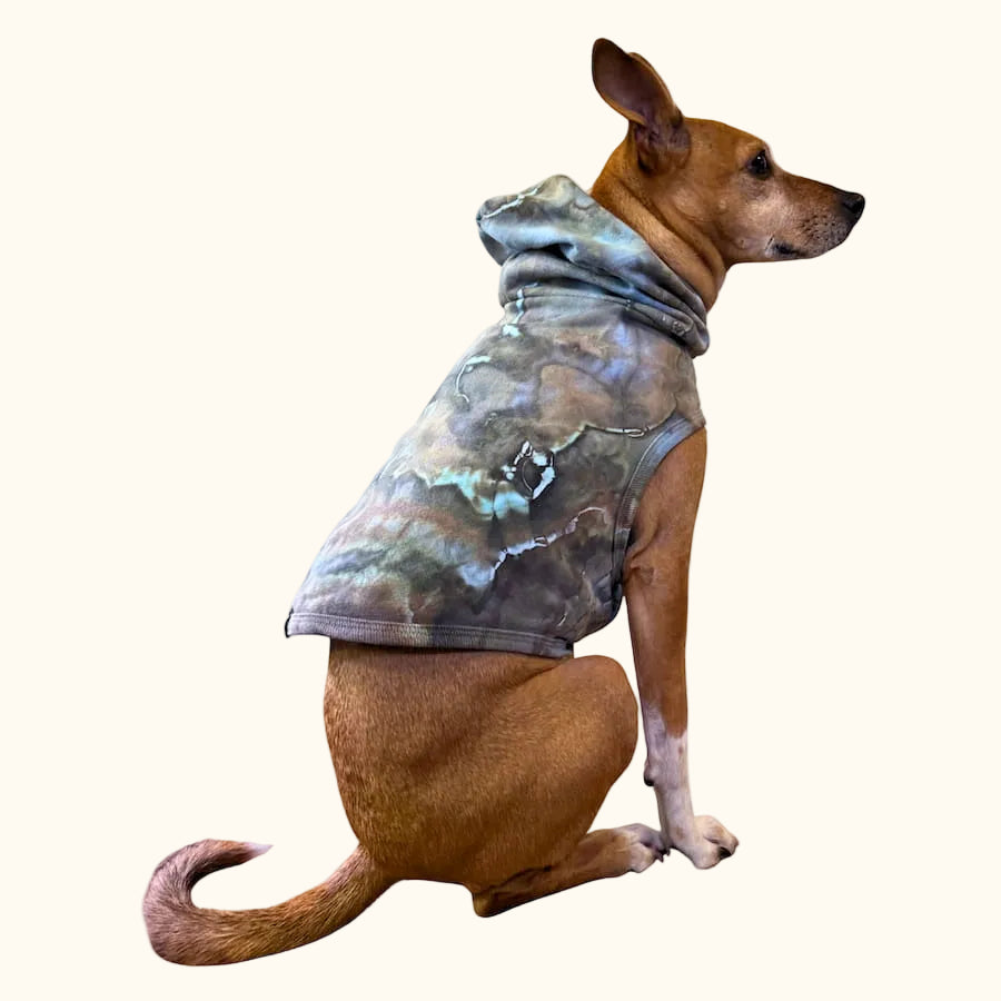 Hand-dyed ice dye dog hoodie with organic, coastal-inspired color pattern